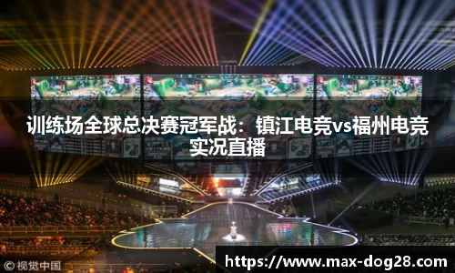 狗子28官方网站