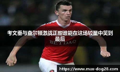 狗子28官方网站